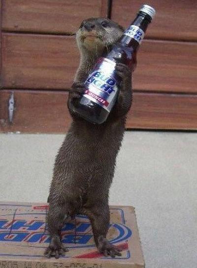 otterbeer.jpg