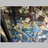 warhammerworld120098.jpg