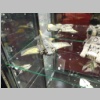 warhammerworld120119.jpg