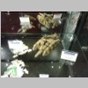 warhammerworld120121.jpg