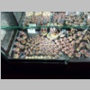 warhammerworld120159.jpg