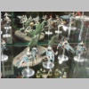 warhammerworld120225.jpg