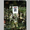 warhammerworld120241.jpg