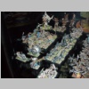 warhammerworld120249.jpg