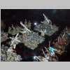 warhammerworld120251.jpg