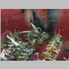 warhammerworld120254.jpg